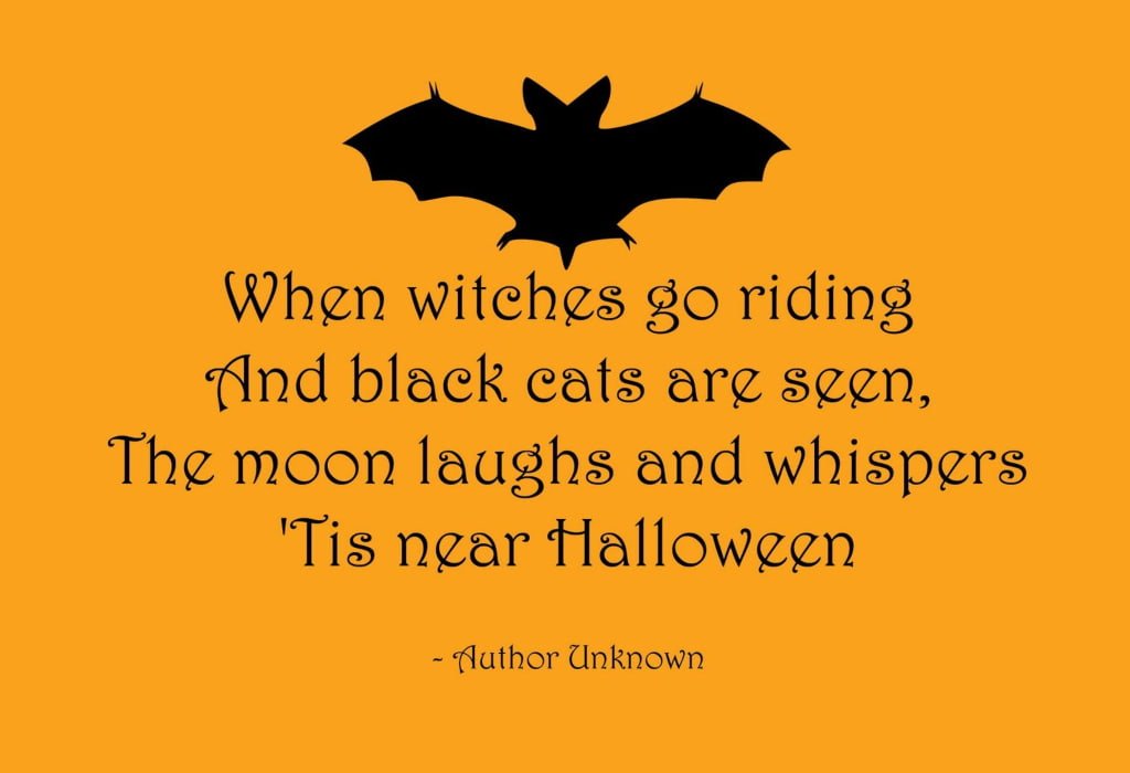 halloween citazione